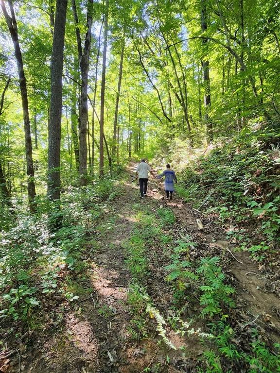 325 Scataway Road Hiawassee, GA 30546 - Photo 44 of 46