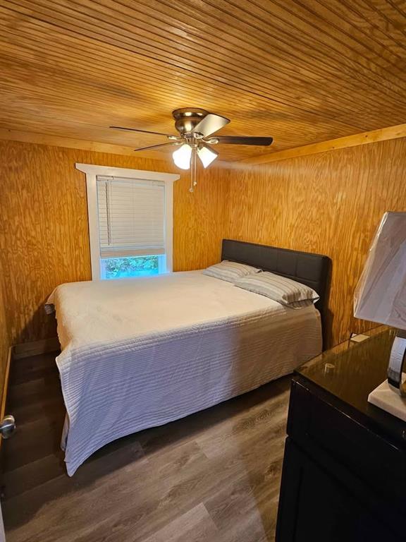 325 Scataway Road Hiawassee, GA 30546 - Photo 9 of 46