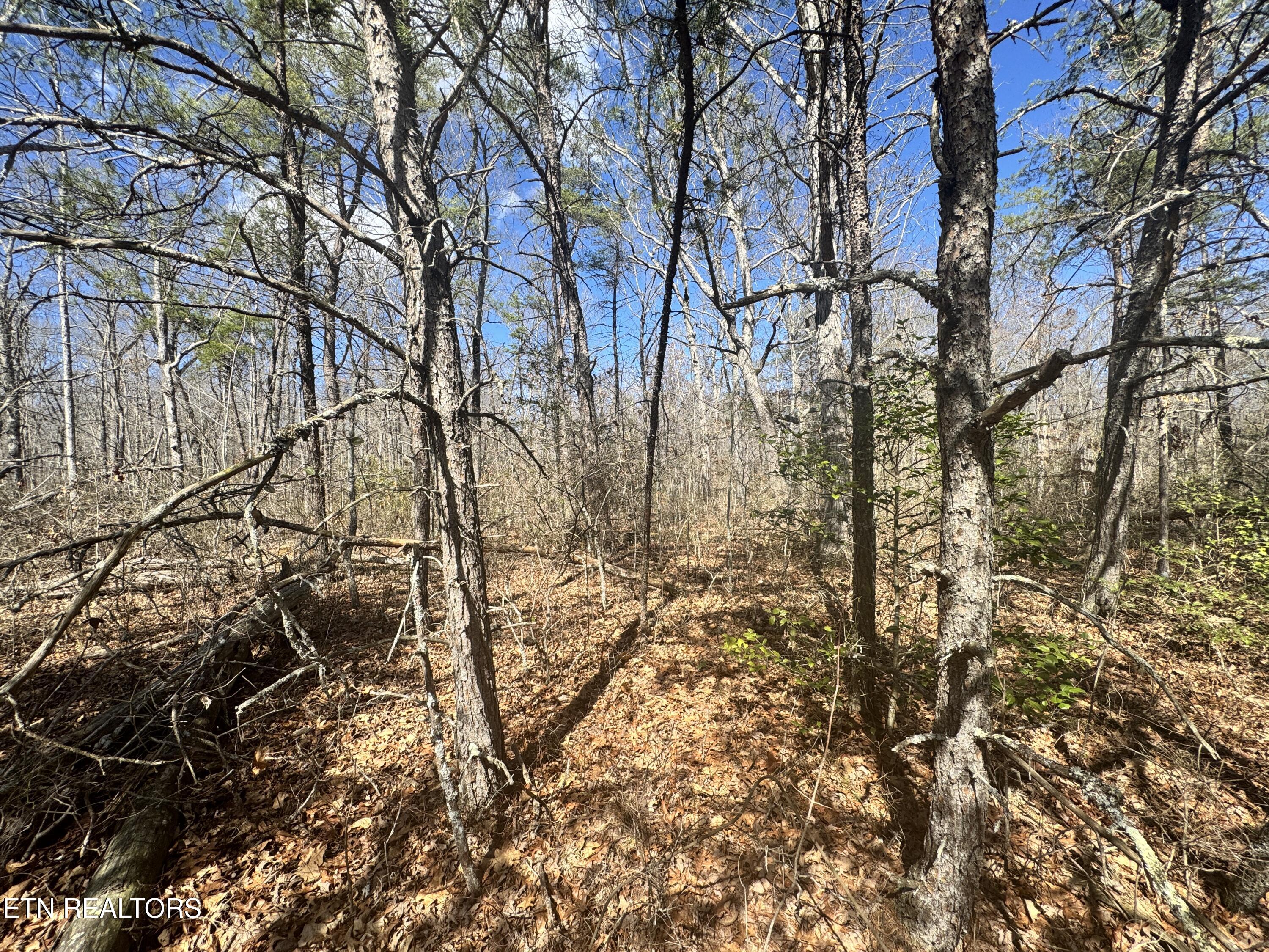 Divide Trail Monterey, TN 38574 - Photo 2 of 10 Photo Feb 27 2025, 12 25 11