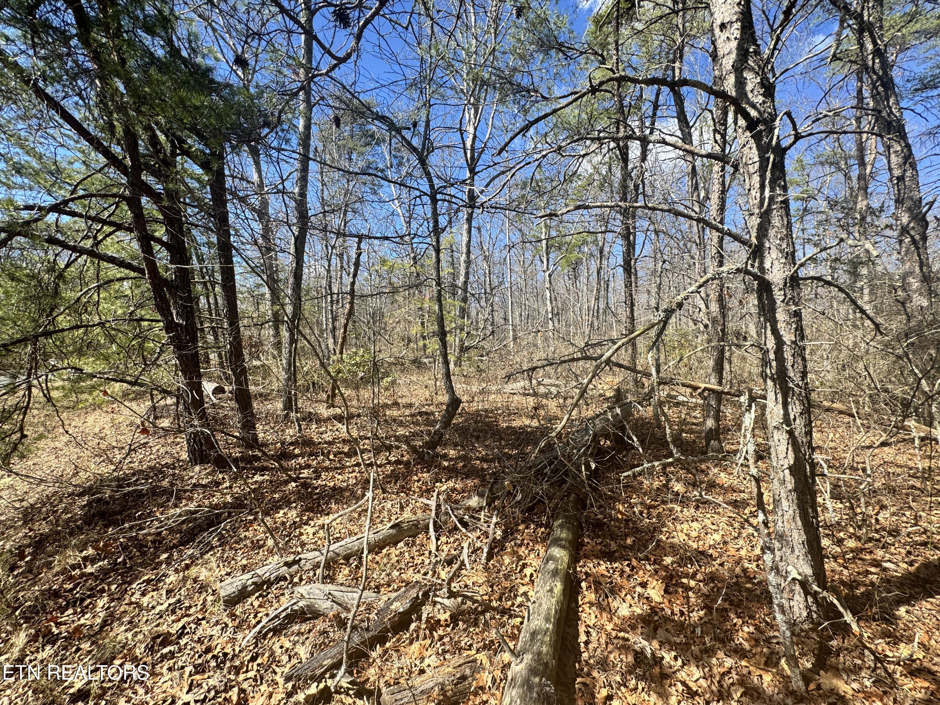 Divide Trail Monterey, TN 38574 - Photo 3 of 10 Photo Feb 27 2025, 12 25 23