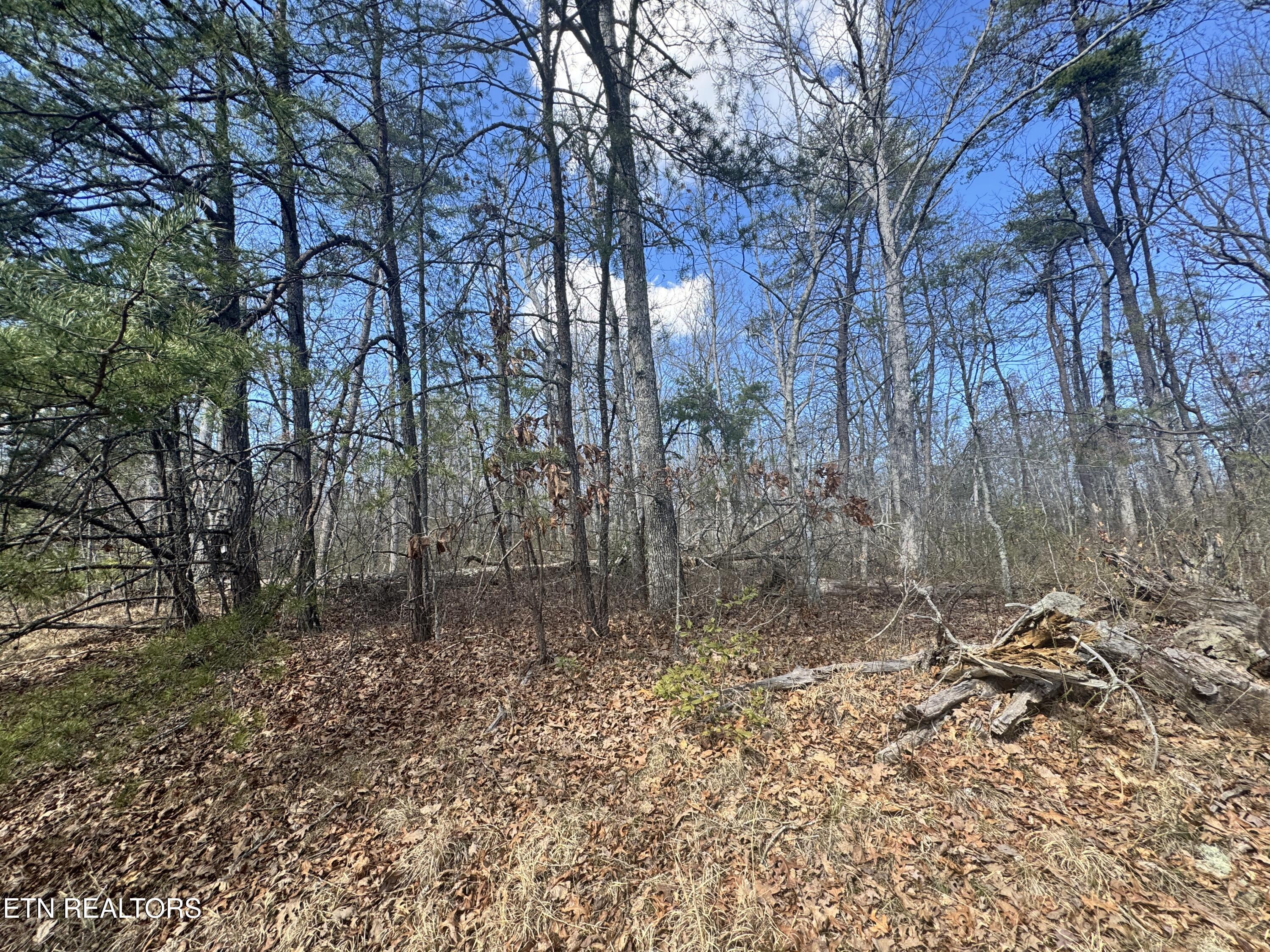 Divide Trail Monterey, TN 38574 - Photo 5 of 10 Photo Feb 27 2025, 12 25 40