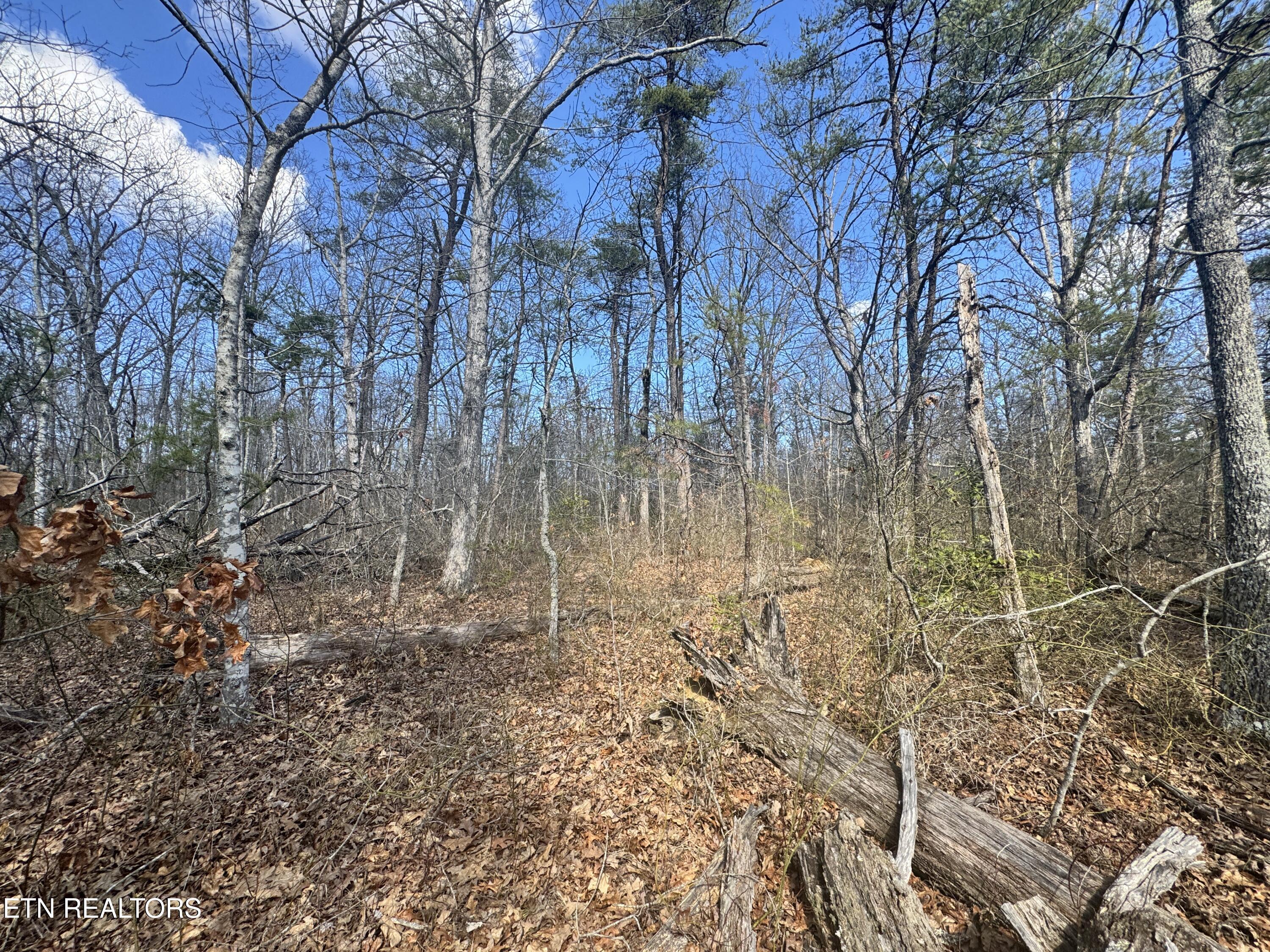 Divide Trail Monterey, TN 38574 - Photo 6 of 10 Photo Feb 27 2025, 12 25 45