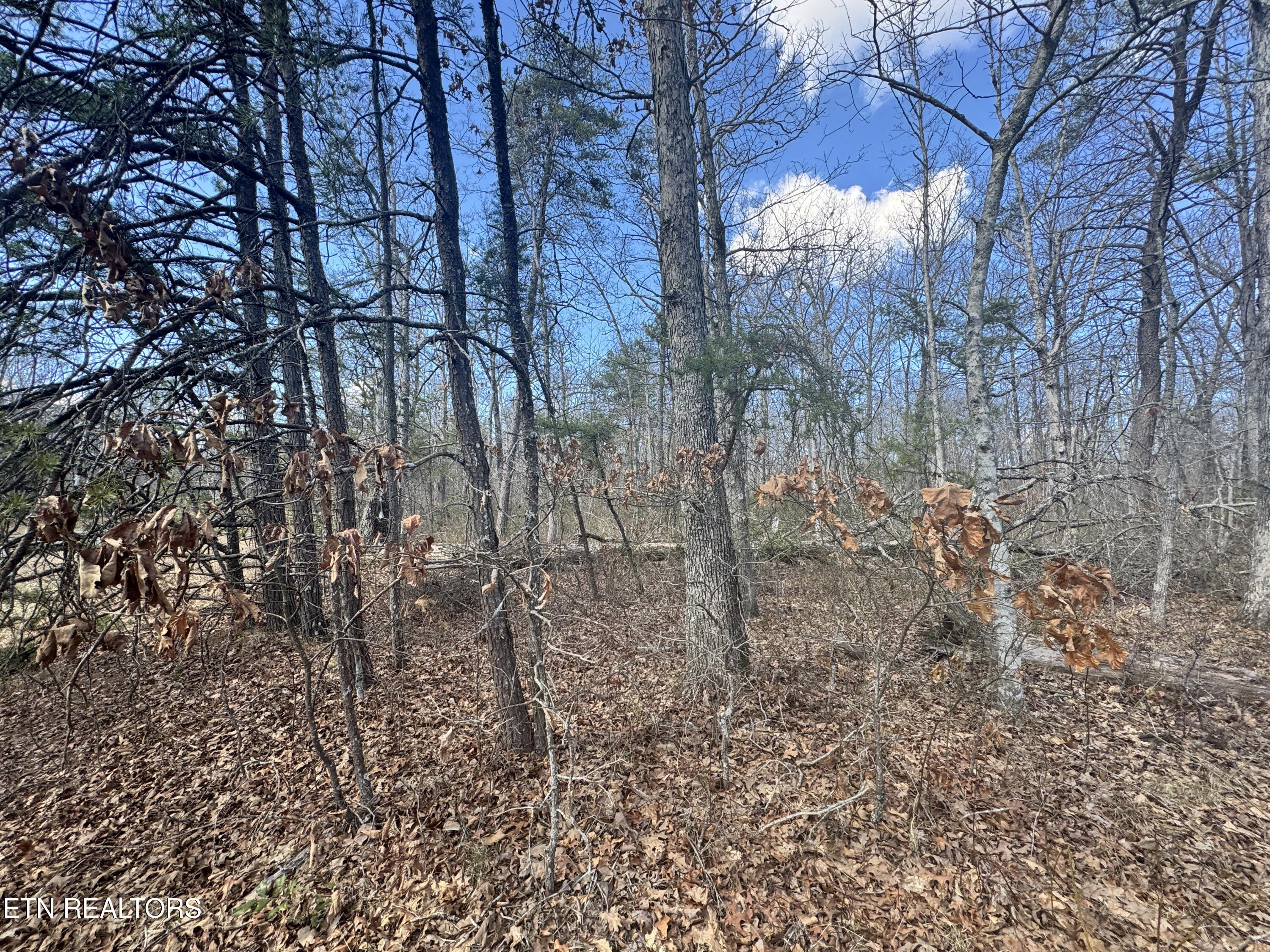 Divide Trail Monterey, TN 38574 - Photo 7 of 10 Photo Feb 27 2025, 12 25 47