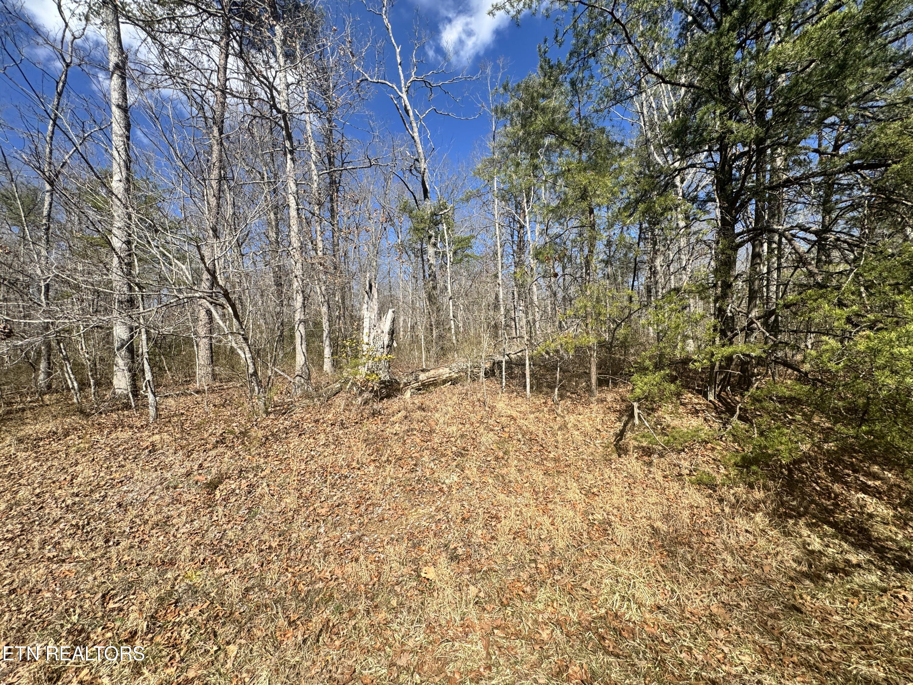 Divide Trail Monterey, TN 38574 - Photo 10 of 10 Photo Feb 27 2025, 12 26 44