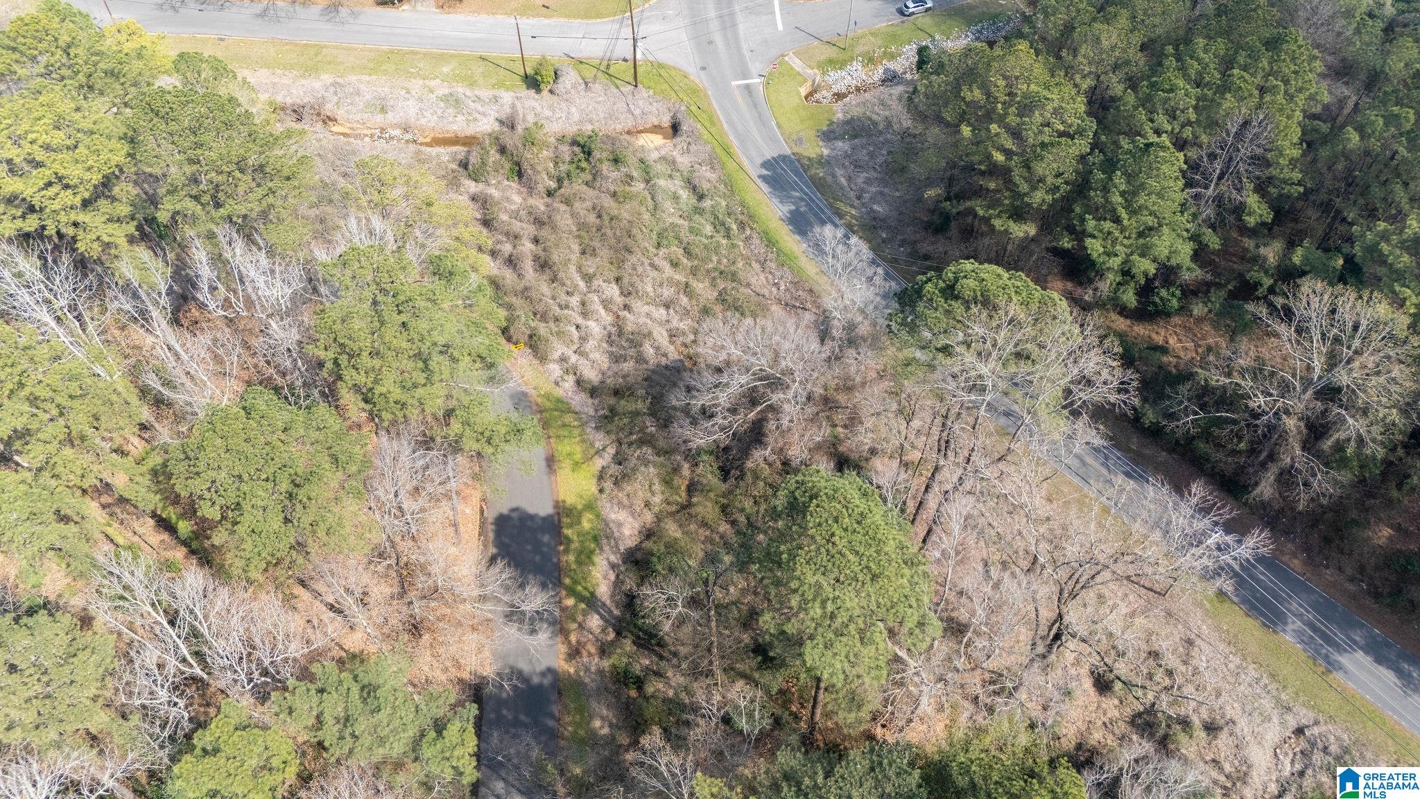 0 Woodland Road, Unit 1 Tuscaloosa, AL 35405 - Photo 12 of 16