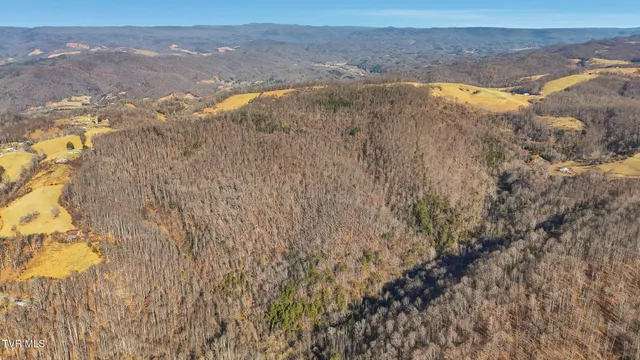 $239,000 | Tbd Manville Road, Gate City, VA 24251