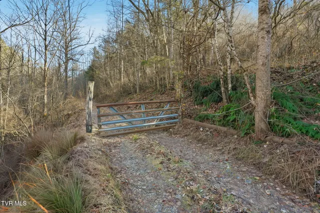 $239,000 | Tbd Manville Road, Gate City, VA 24251