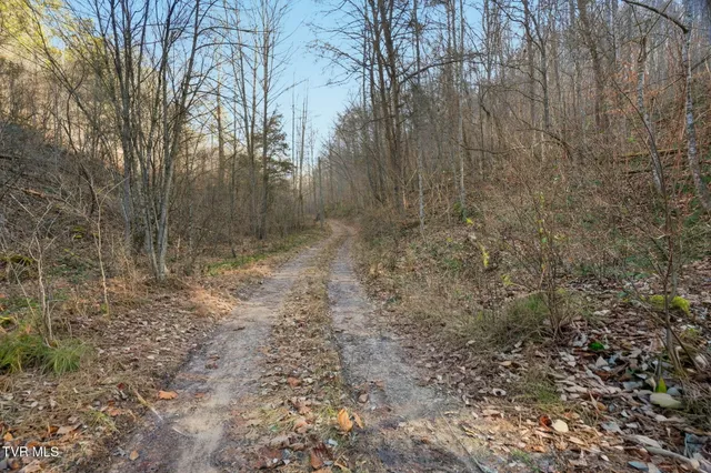 $239,000 | Tbd Manville Road, Gate City, VA 24251