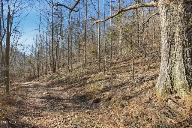 $239,000 | Tbd Manville Road, Gate City, VA 24251