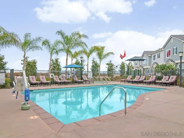 a view of a swimming pool with a lawn chairs under palm trees
