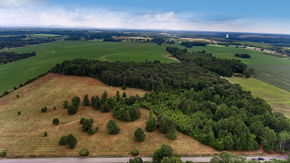 1 State Line Road Hazel Green, AL 35750 - Photo 3 of 10