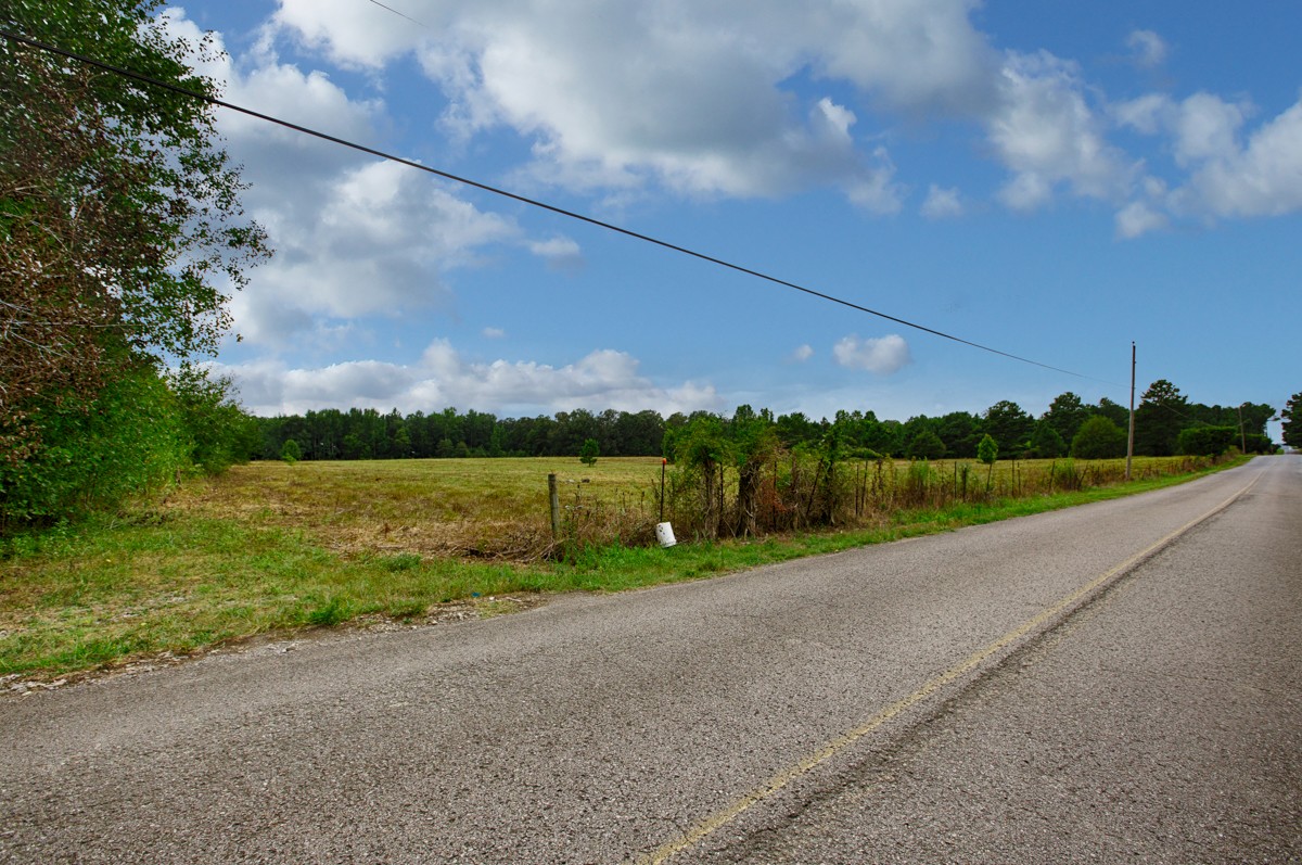 1 State Line Road Hazel Green, AL 35750 - Photo 4 of 10