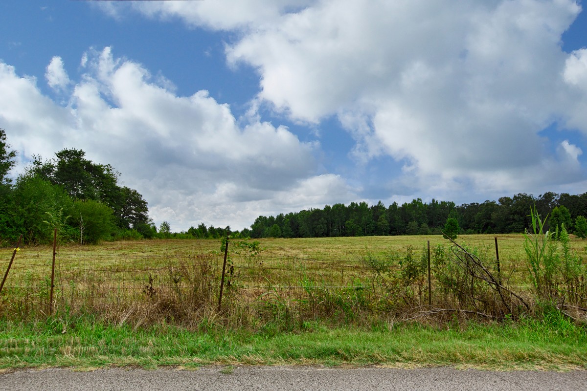 1 State Line Road Hazel Green, AL 35750 - Photo 5 of 10