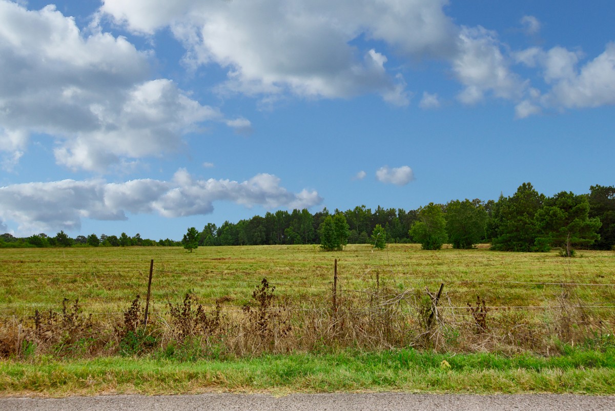 1 State Line Road Hazel Green, AL 35750 - Photo 6 of 10
