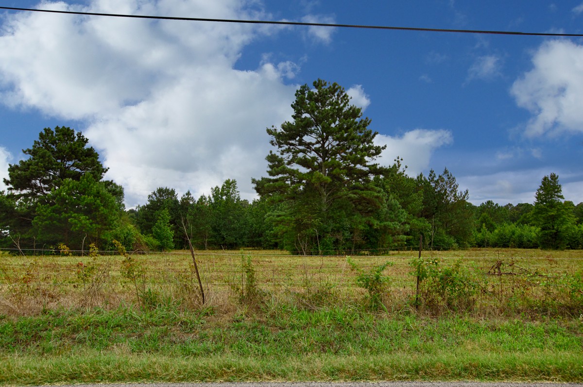1 State Line Road Hazel Green, AL 35750 - Photo 7 of 10