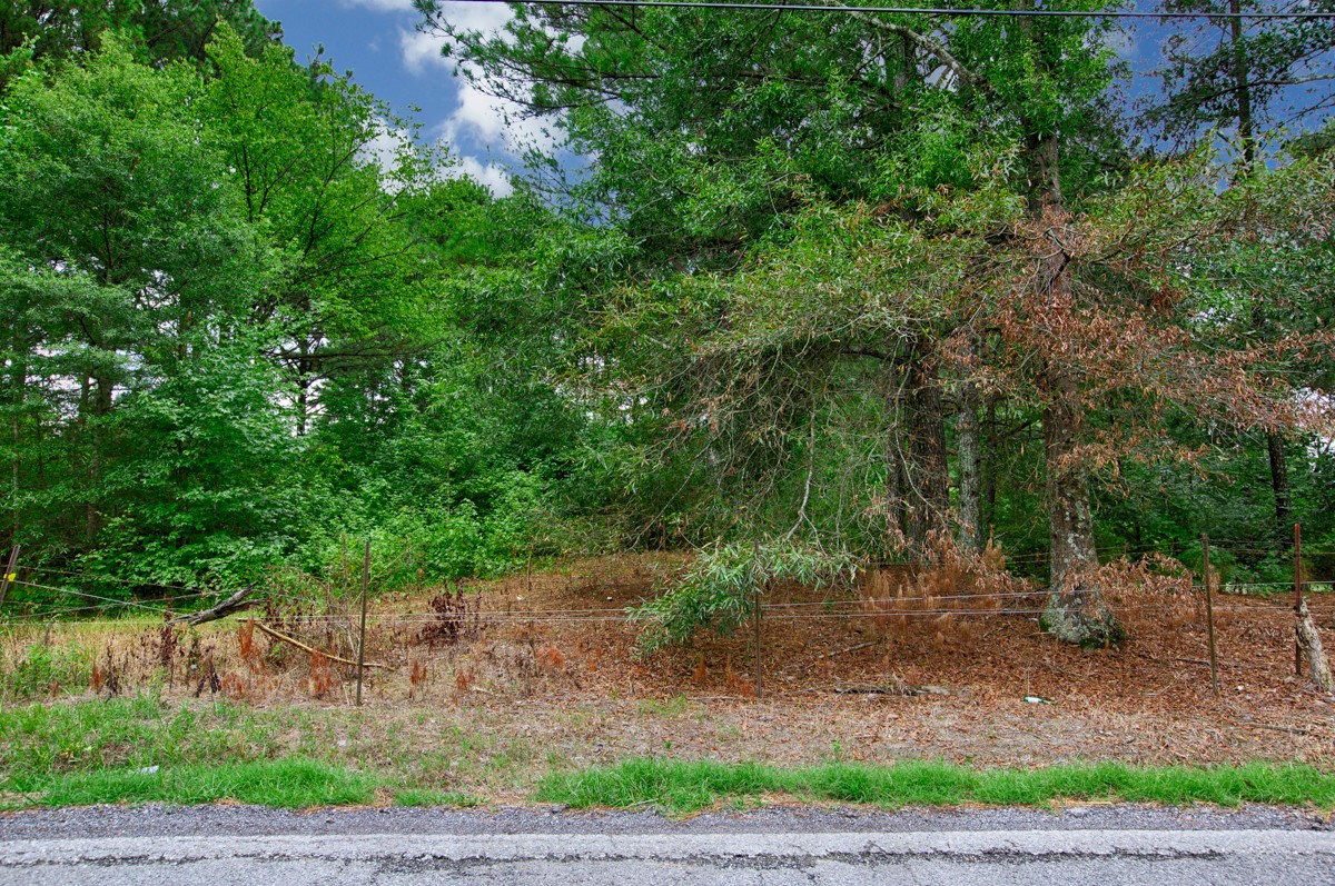 1 State Line Road Hazel Green, AL 35750 - Photo 8 of 10