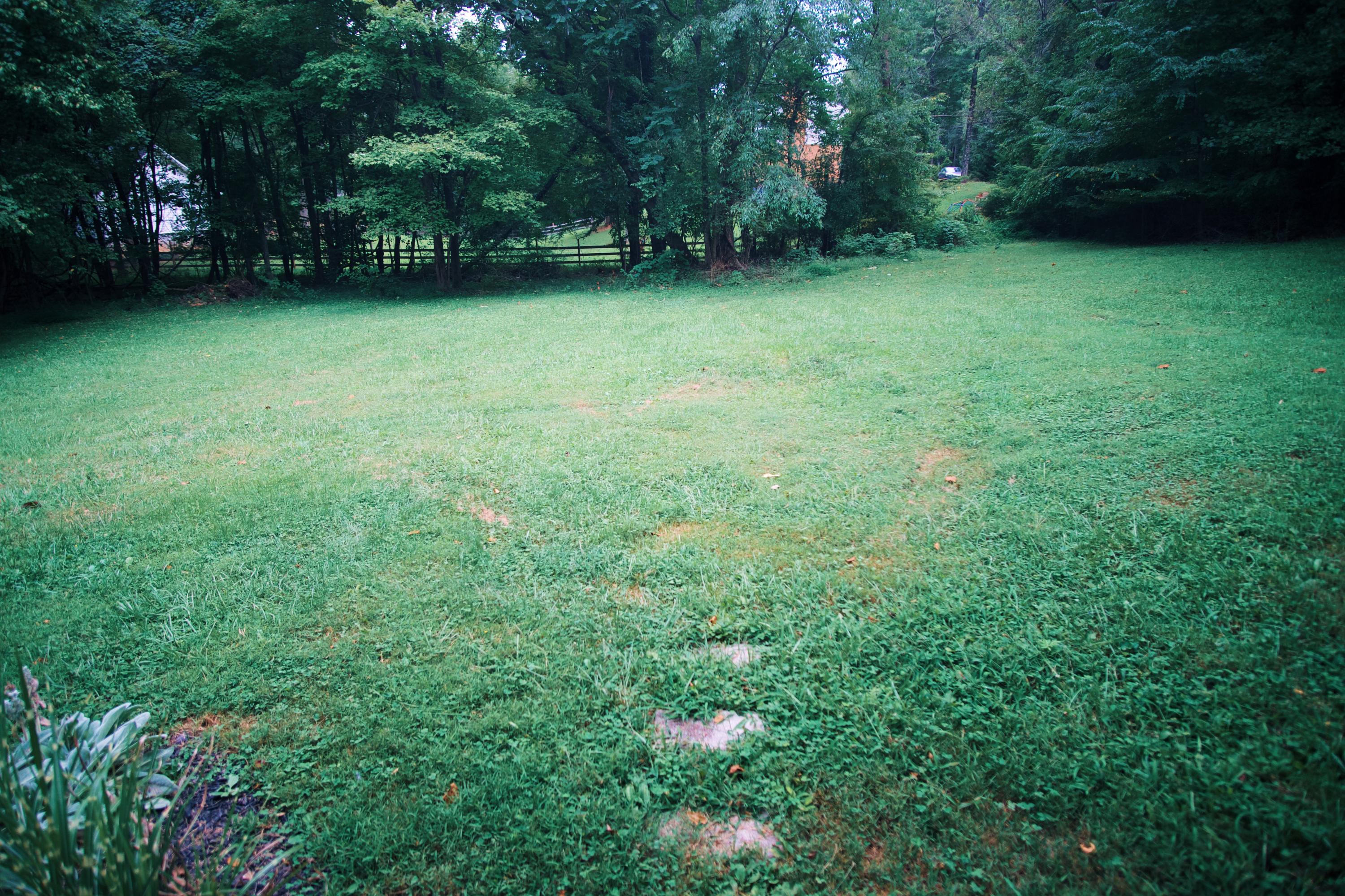 840 Blue Ridge Drive Blue Ridge, VA 24064 - Photo 18 of 20 Yard