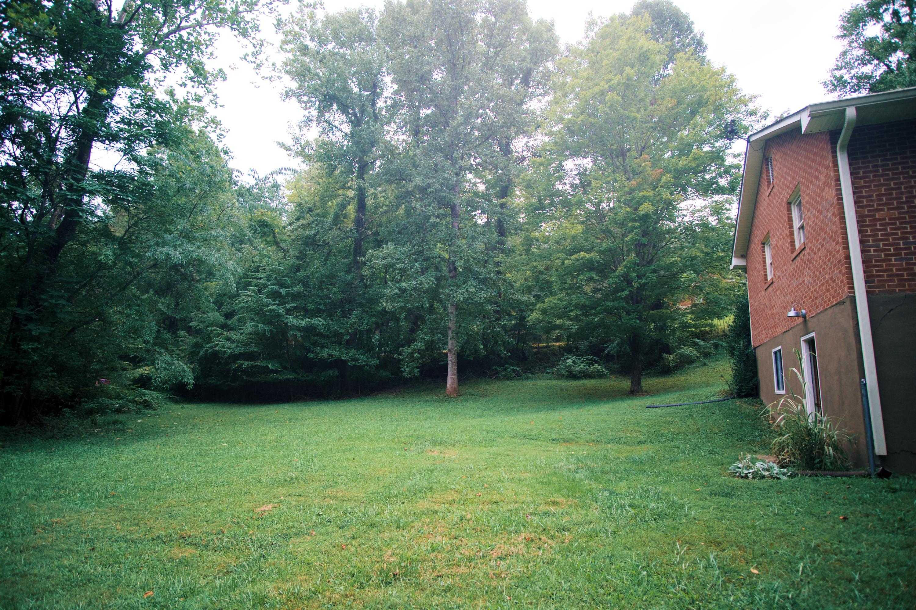 840 Blue Ridge Drive Blue Ridge, VA 24064 - Photo 19 of 20 Yard
