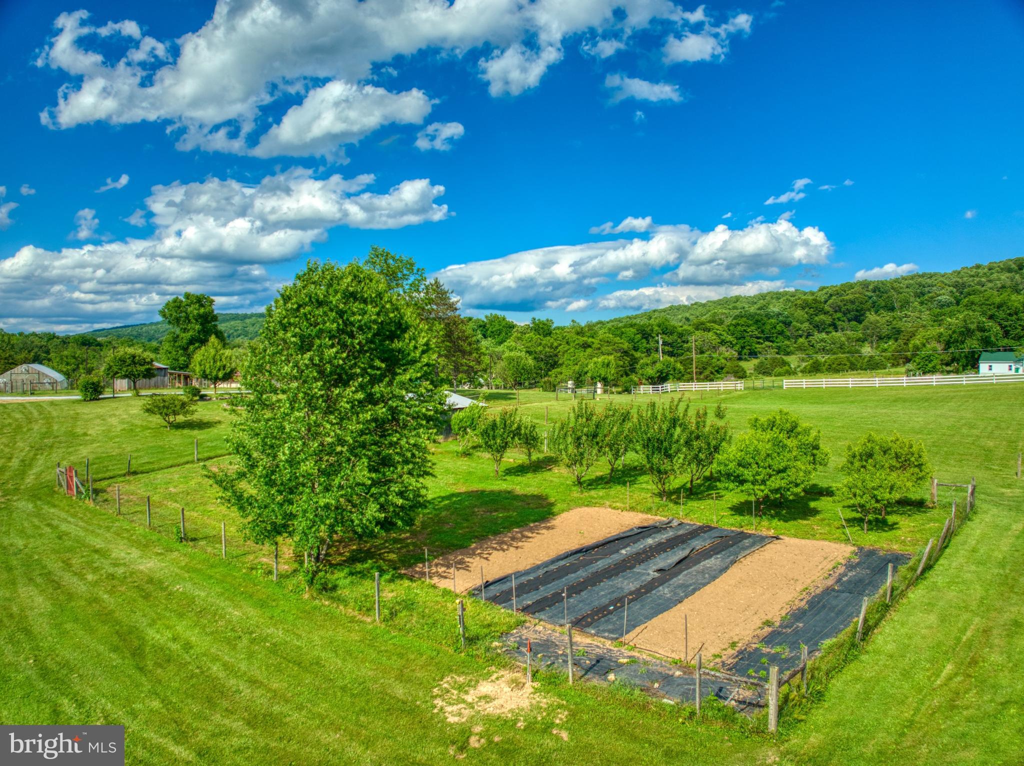 4040 Mills Road Sharpsburg, MD 21782 - Photo 122 of 127 Gardens