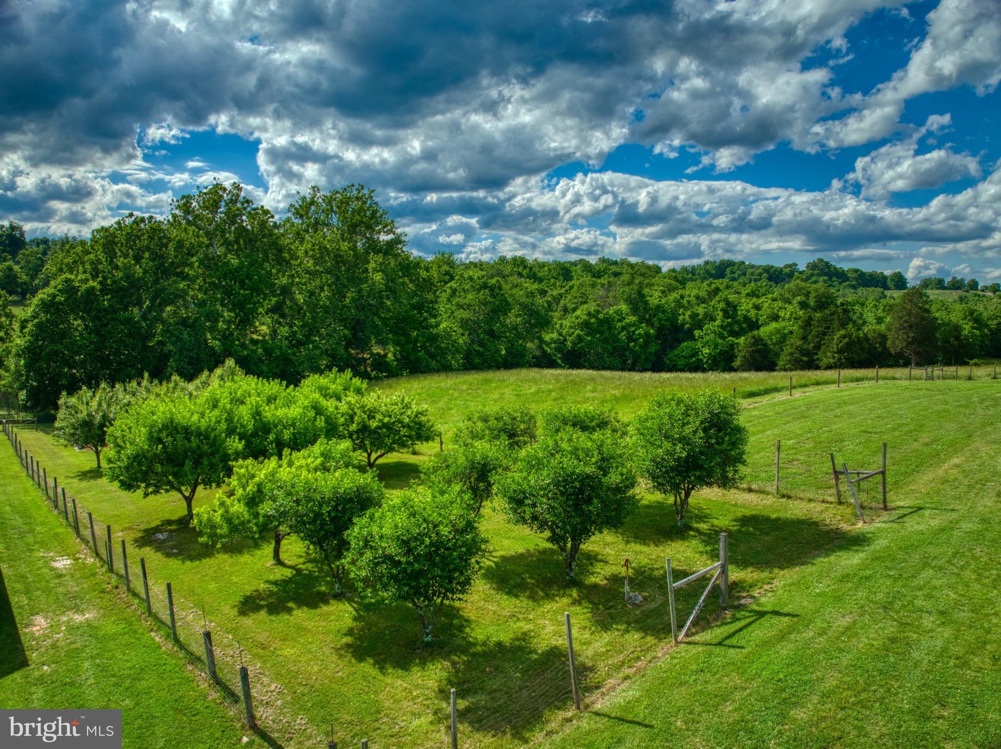 4040 Mills Road Sharpsburg, MD 21782 - Photo 125 of 127 Orchard