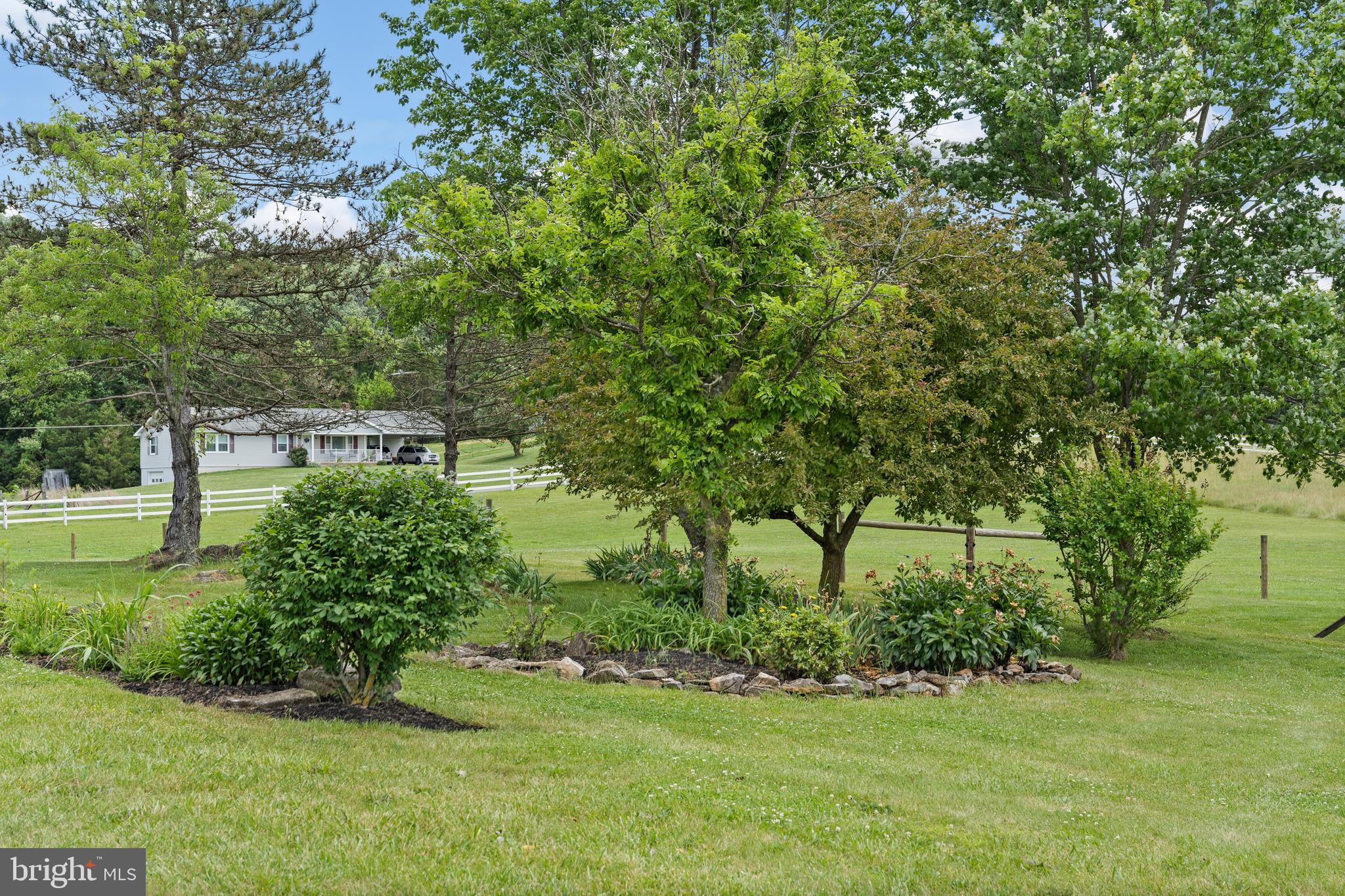 4040 Mills Road Sharpsburg, MD 21782 - Photo 67 of 127 Mature landscaping, fruit trees dot the yard