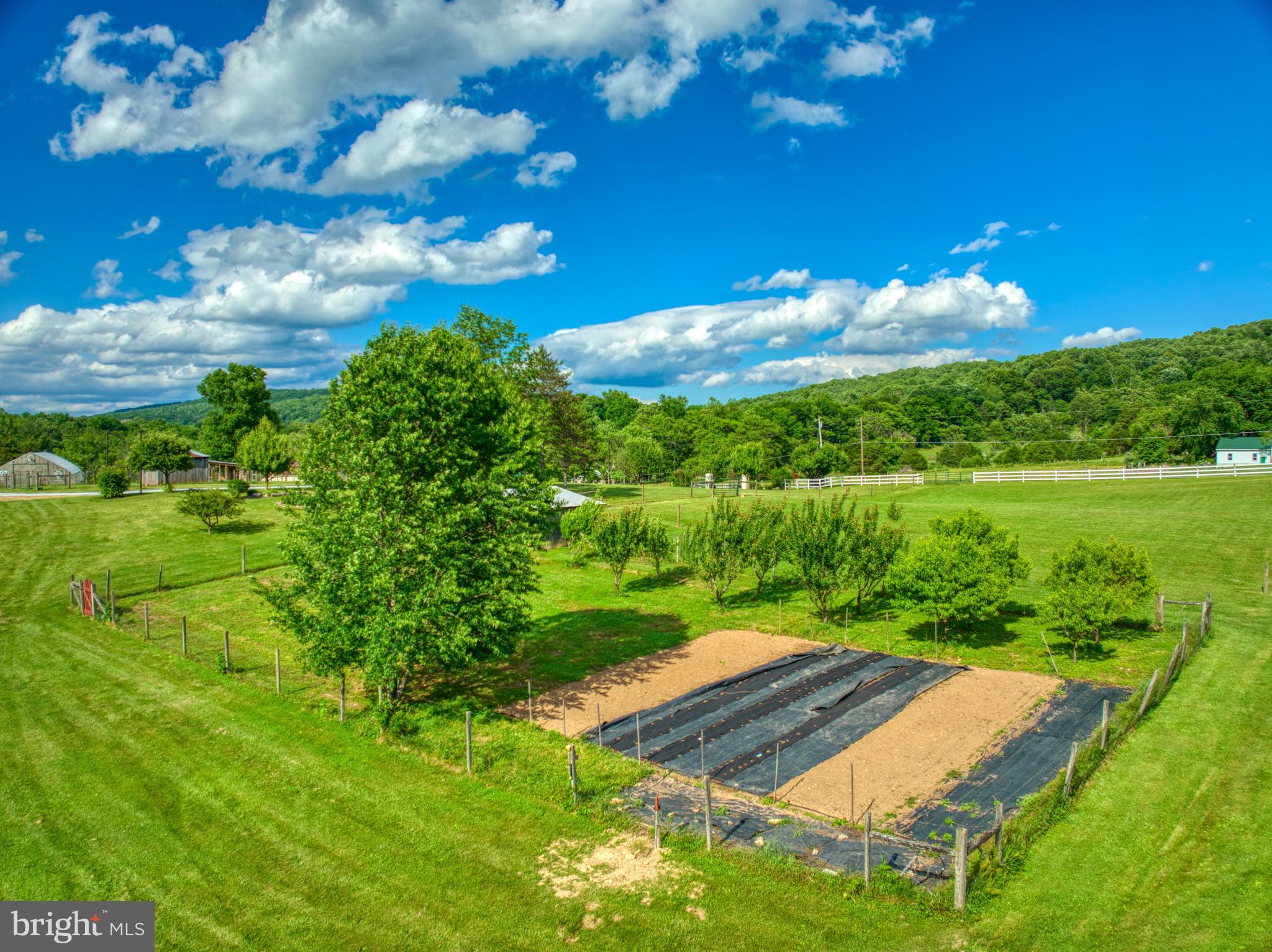 4040 Mills Road Sharpsburg, MD 21782 - Photo 71 of 127 Gardens and orchard