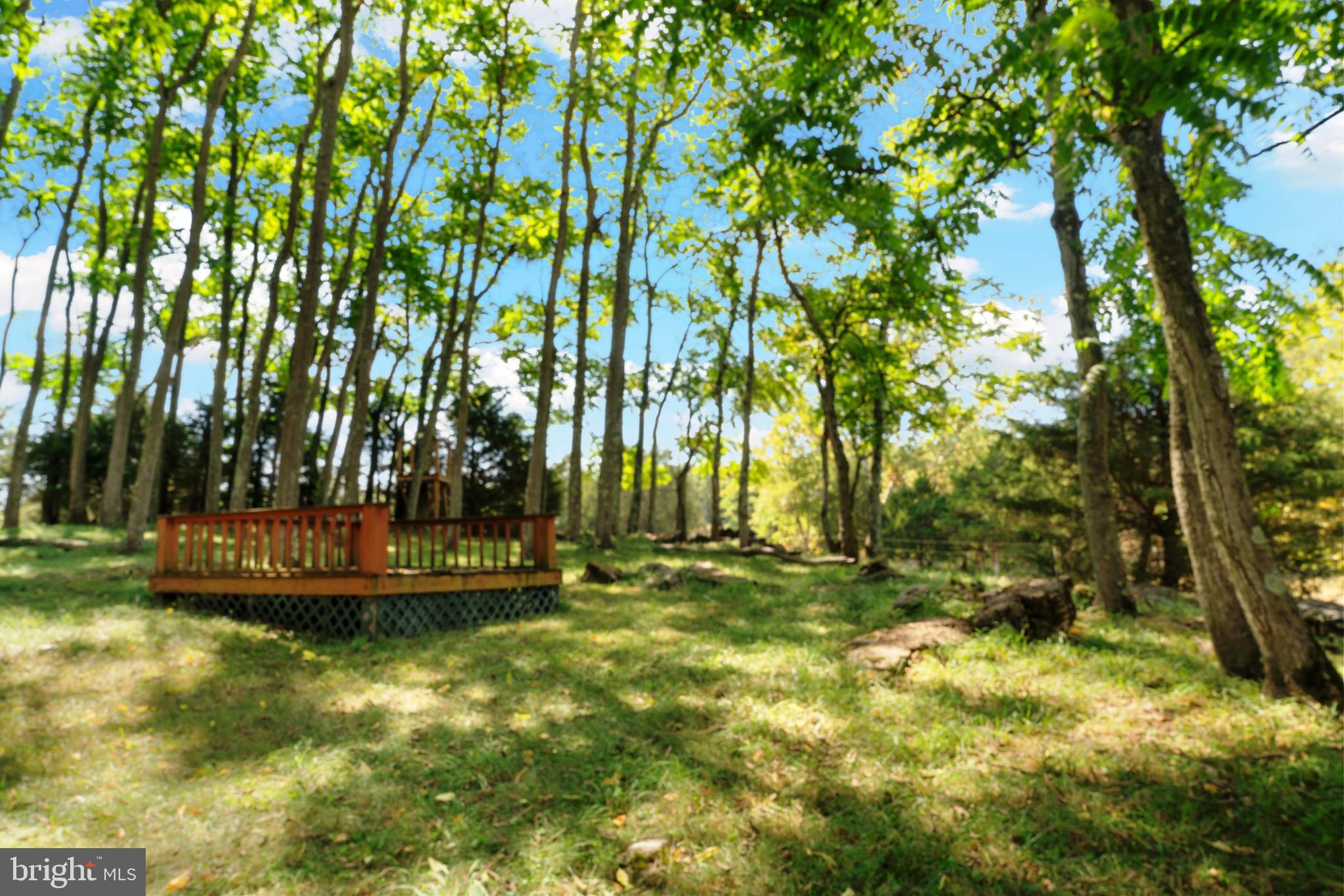 4040 Mills Road Sharpsburg, MD 21782 - Photo 78 of 127 A magical place, next to pavillion