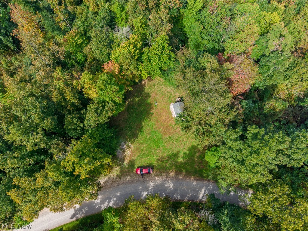 Lew Marten Road Summerfield, OH 43788 - Photo 28 of 50 Gallery Image 28