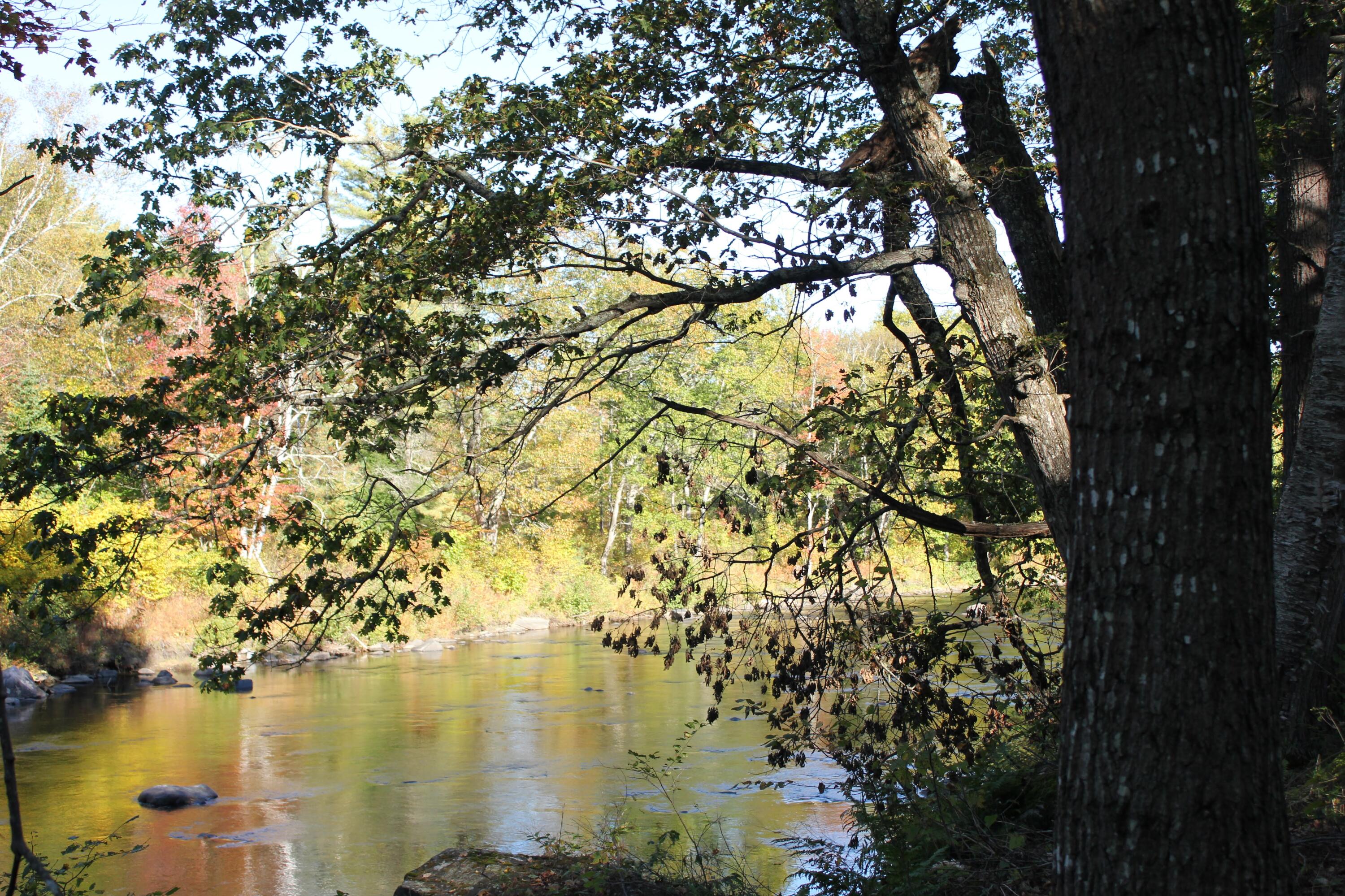 30 Wilson Stream Road Willimantic, ME 04443 - Photo 1 of 12 Liza Perry 17