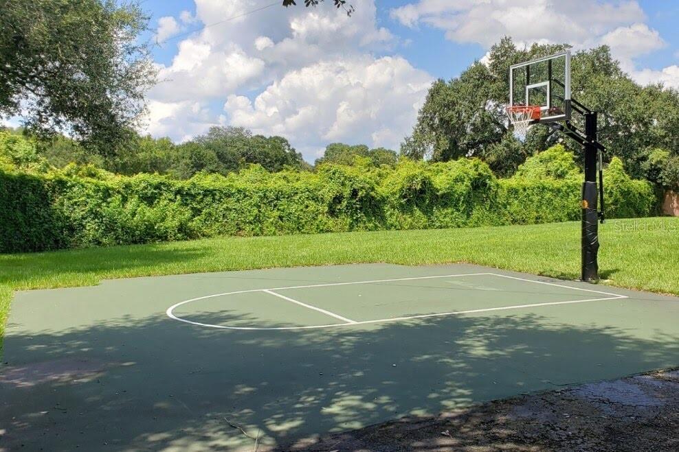 8412 Ridgebrook Circle Odessa, FL 33556 - Photo 87 of 87