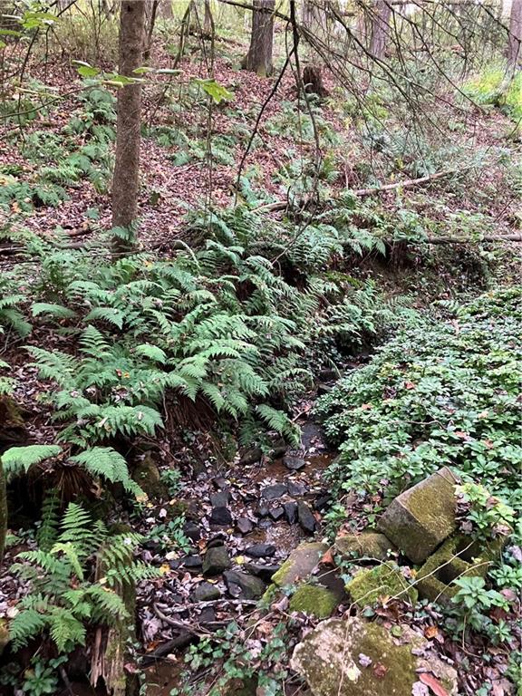 450 Old Plank Road Butler, PA 16002 - Photo 26 of 32 a view of a forest with a tree