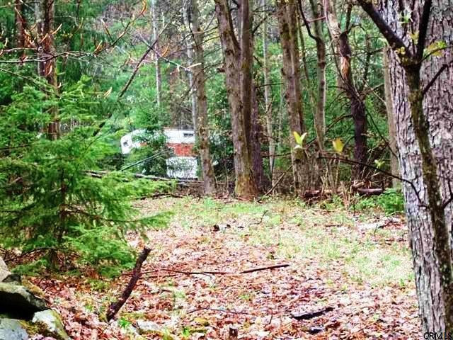 365 Fulton Hill Road Fulton, NY 12149 - Photo 1 of 6 Photo 1