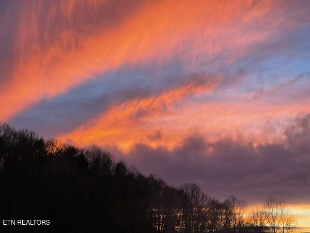 2410 Perilla Road Cosby, TN 37722 - Photo 49 of 50 IMG_8021