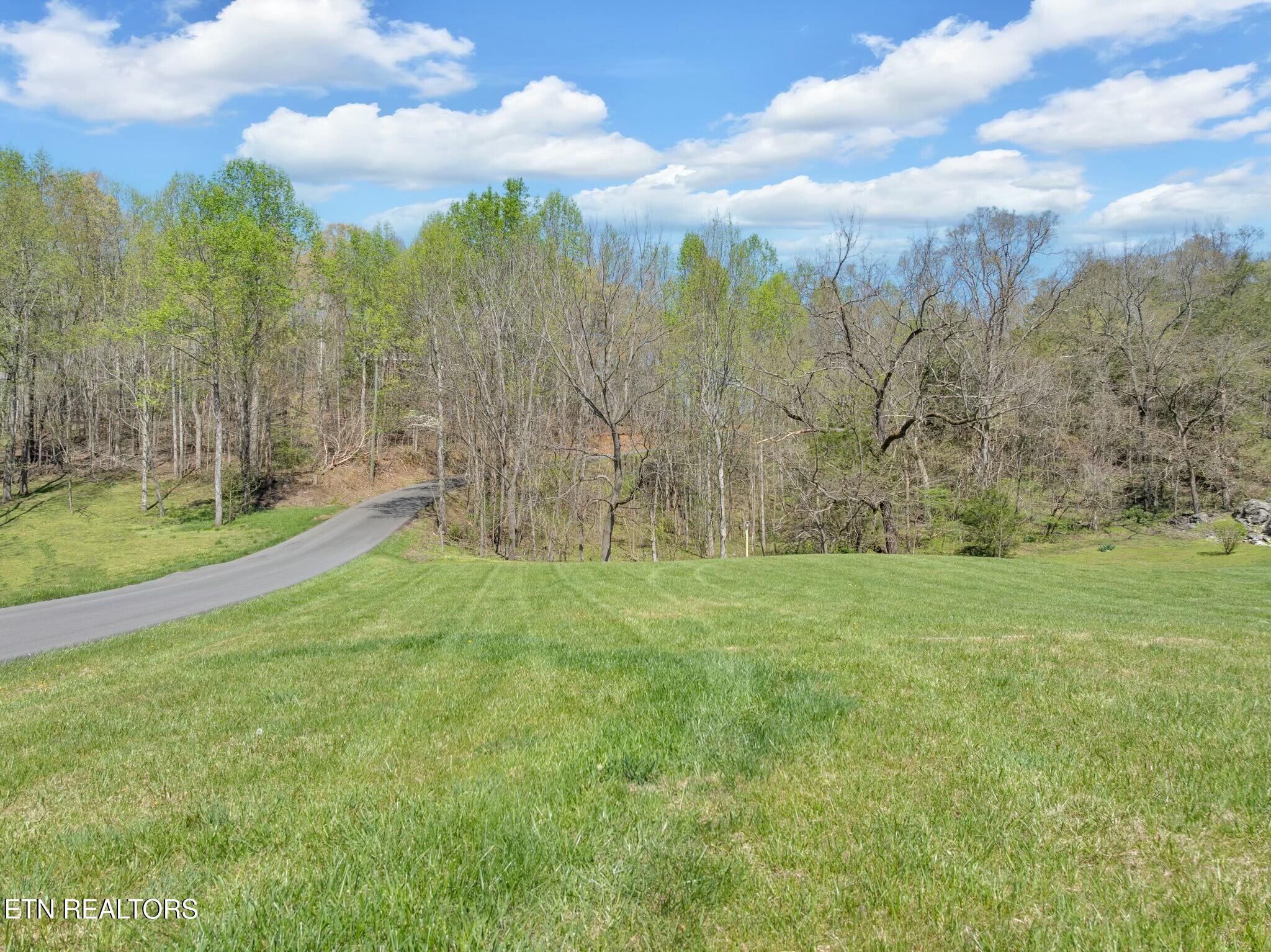 3310 Spring View Drive Sevierville, TN 37862 - Photo 3 of 17 tempImagewPfIG2