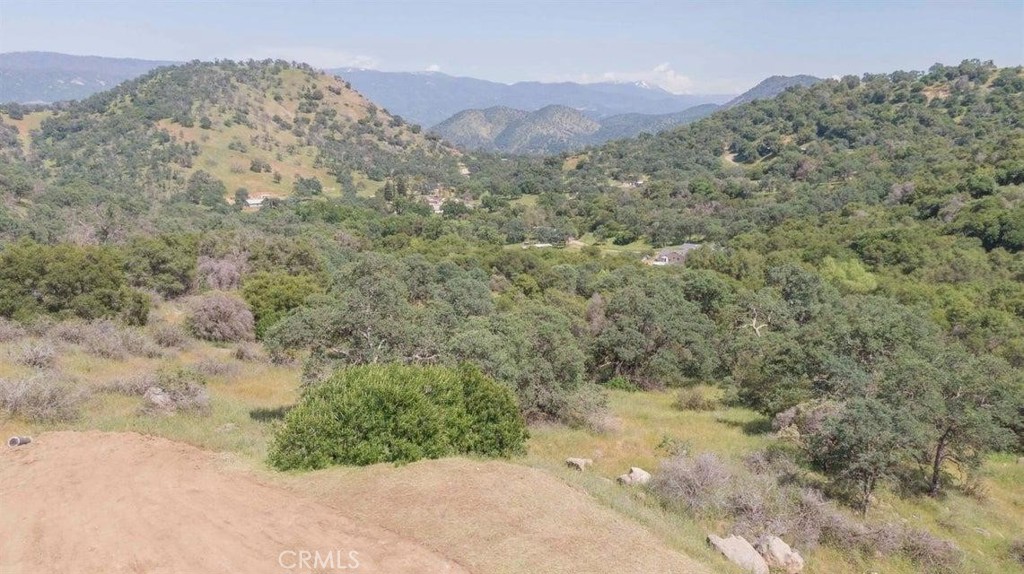 0 Ruth Hill Road Squaw Valley, CA 93675 - Photo 13 of 16