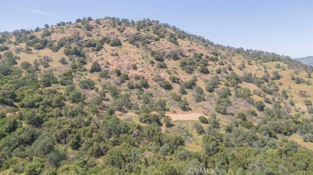 0 Ruth Hill Road Squaw Valley, CA 93675 - Photo 16 of 16