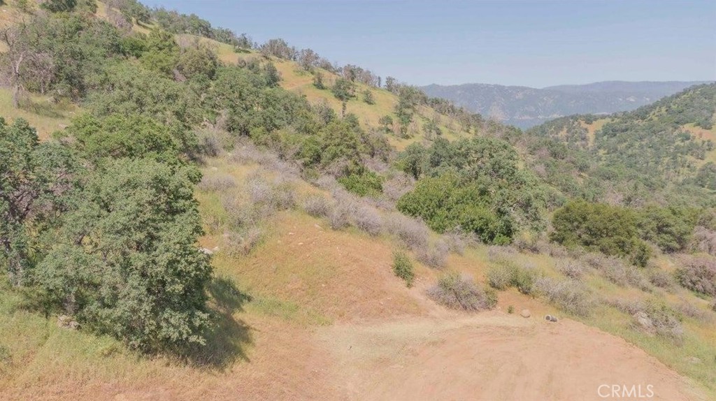 0 Ruth Hill Road Squaw Valley, CA 93675 - Photo 3 of 16
