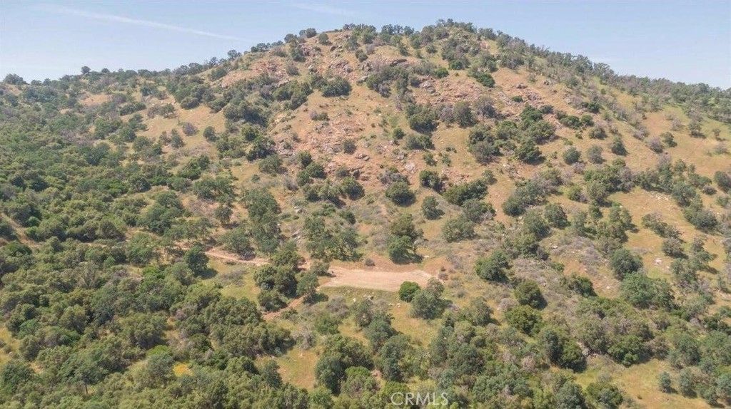 0 Ruth Hill Road Squaw Valley, CA 93675 - Photo 7 of 16