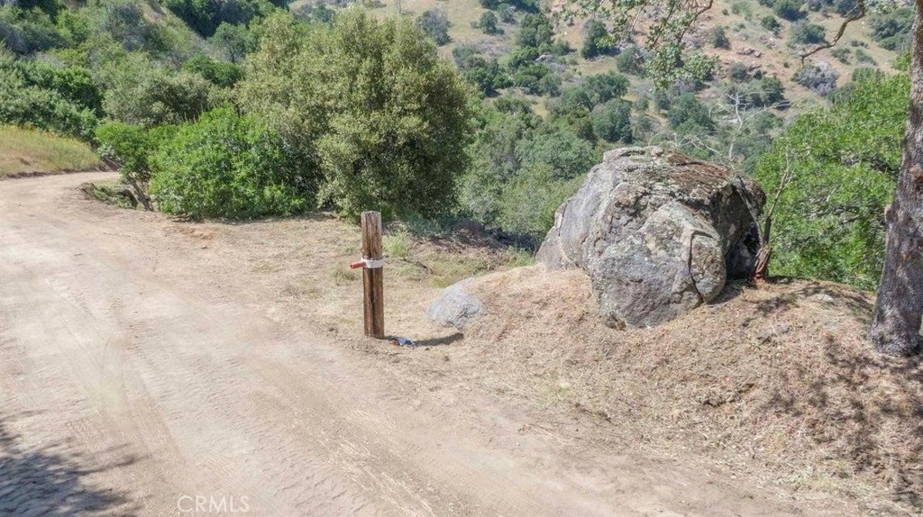 0 Ruth Hill Road Squaw Valley, CA 93675 - Photo 9 of 16