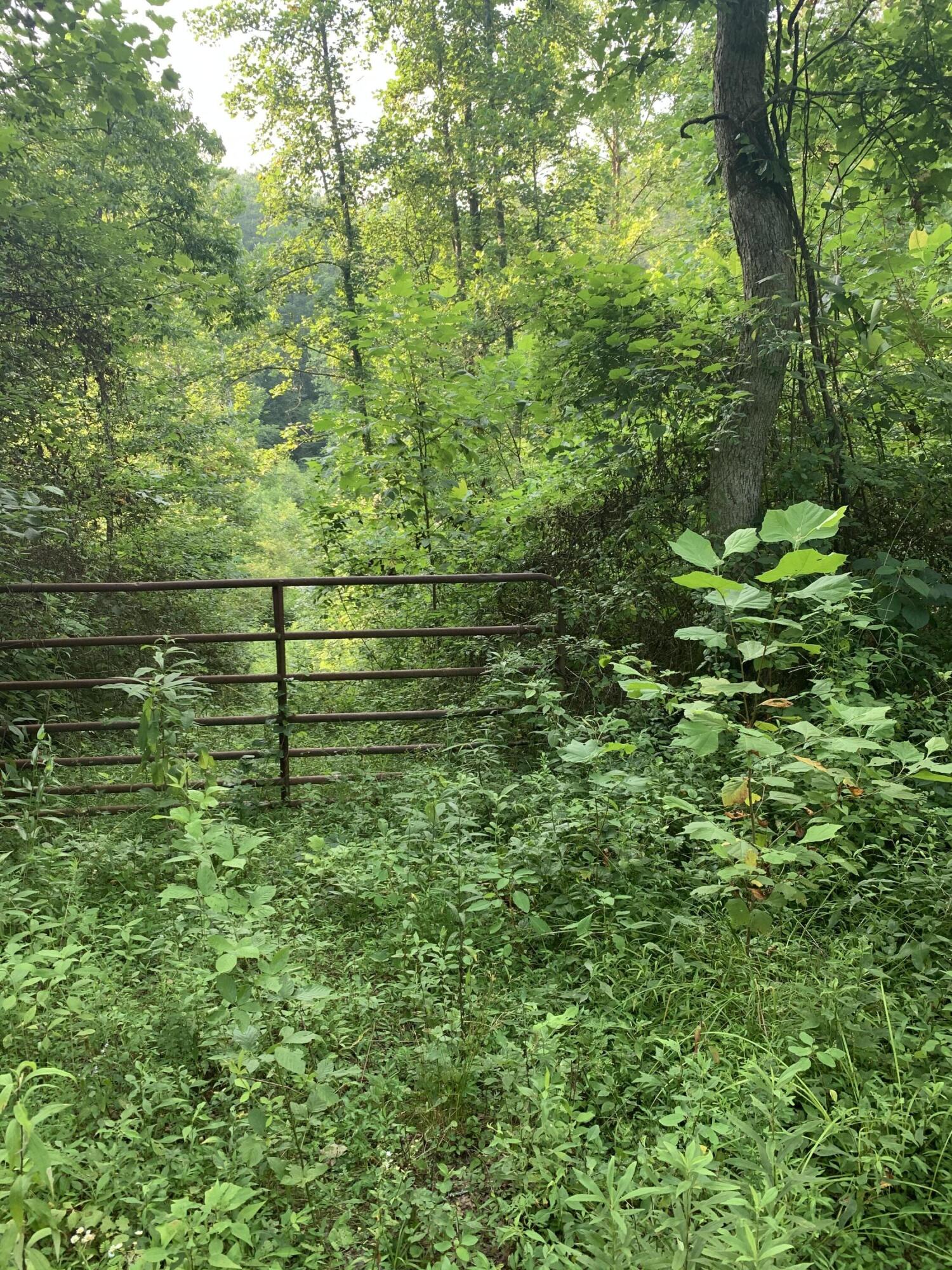 9999 Chestnut Branch Road Manchester, KY 40962 - Photo 3 of 28 A11E8F27-CE78-4565-AC9E-E0CC8F92229D