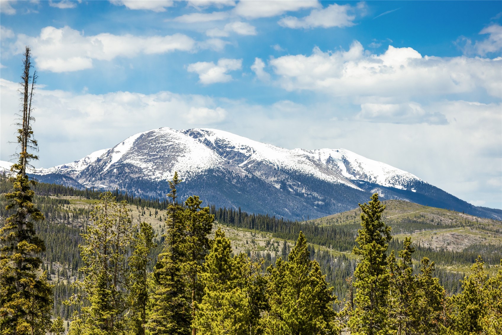 246 Westerman Road Breckenridge, CO 80424 - Photo 5 of 50