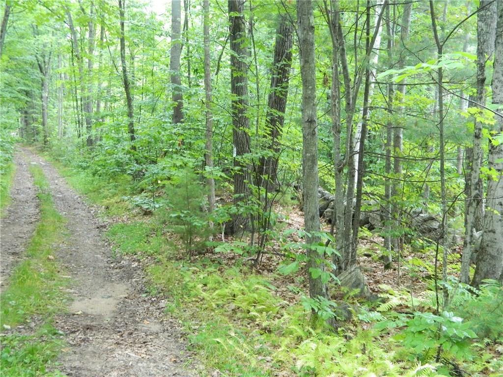 0 Mountain Road Parsonsfield, ME 04047 - Photo 4 of 22 Photo