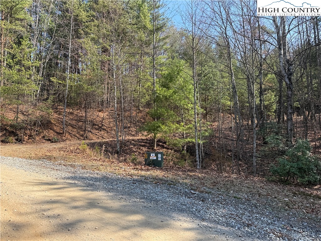 Lot 227 Deer Run Road Purlear, NC 28665 - Photo 13 of 42