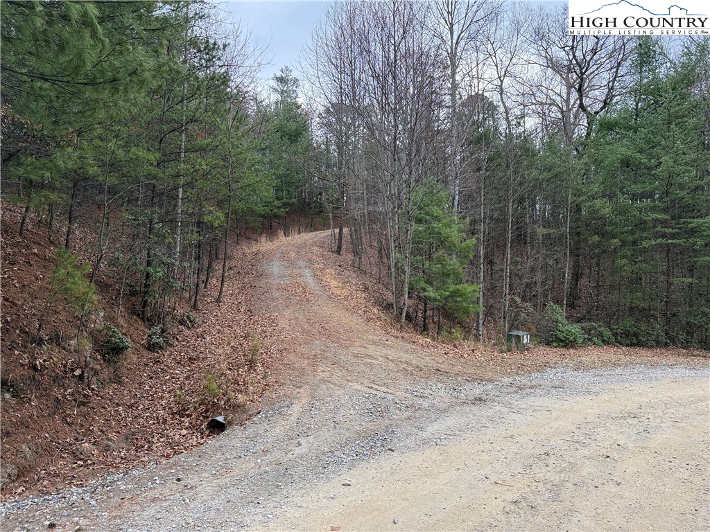 Lot 227 Deer Run Road Purlear, NC 28665 - Photo 14 of 42