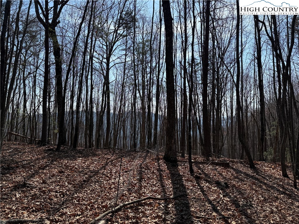 Lot 227 Deer Run Road Purlear, NC 28665 - Photo 2 of 42