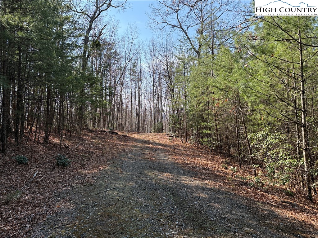 Lot 227 Deer Run Road Purlear, NC 28665 - Photo 3 of 42