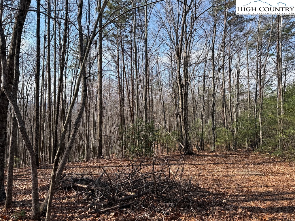 Lot 227 Deer Run Road Purlear, NC 28665 - Photo 4 of 42