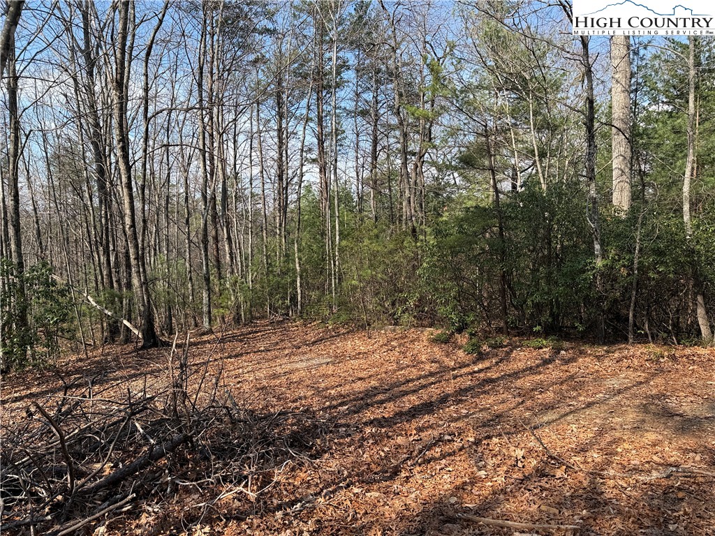Lot 227 Deer Run Road Purlear, NC 28665 - Photo 5 of 42