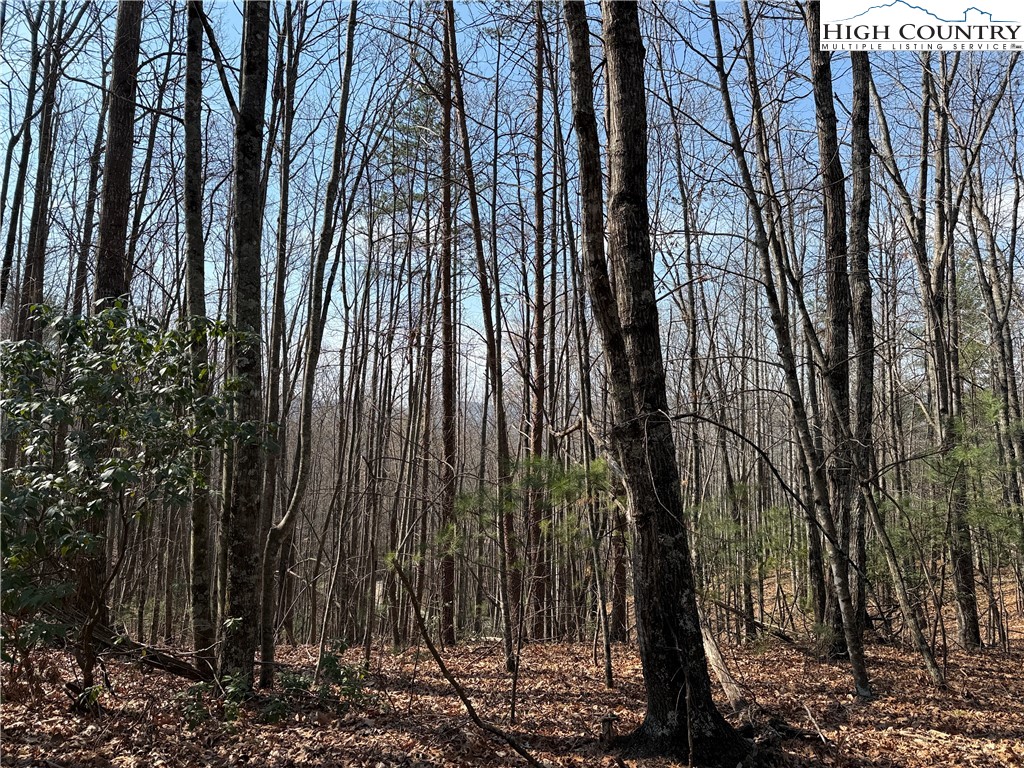Lot 227 Deer Run Road Purlear, NC 28665 - Photo 6 of 42