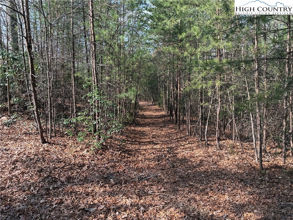 Lot 227 Deer Run Road Purlear, NC 28665 - Photo 7 of 42